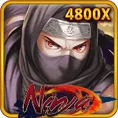 Ninja game cover